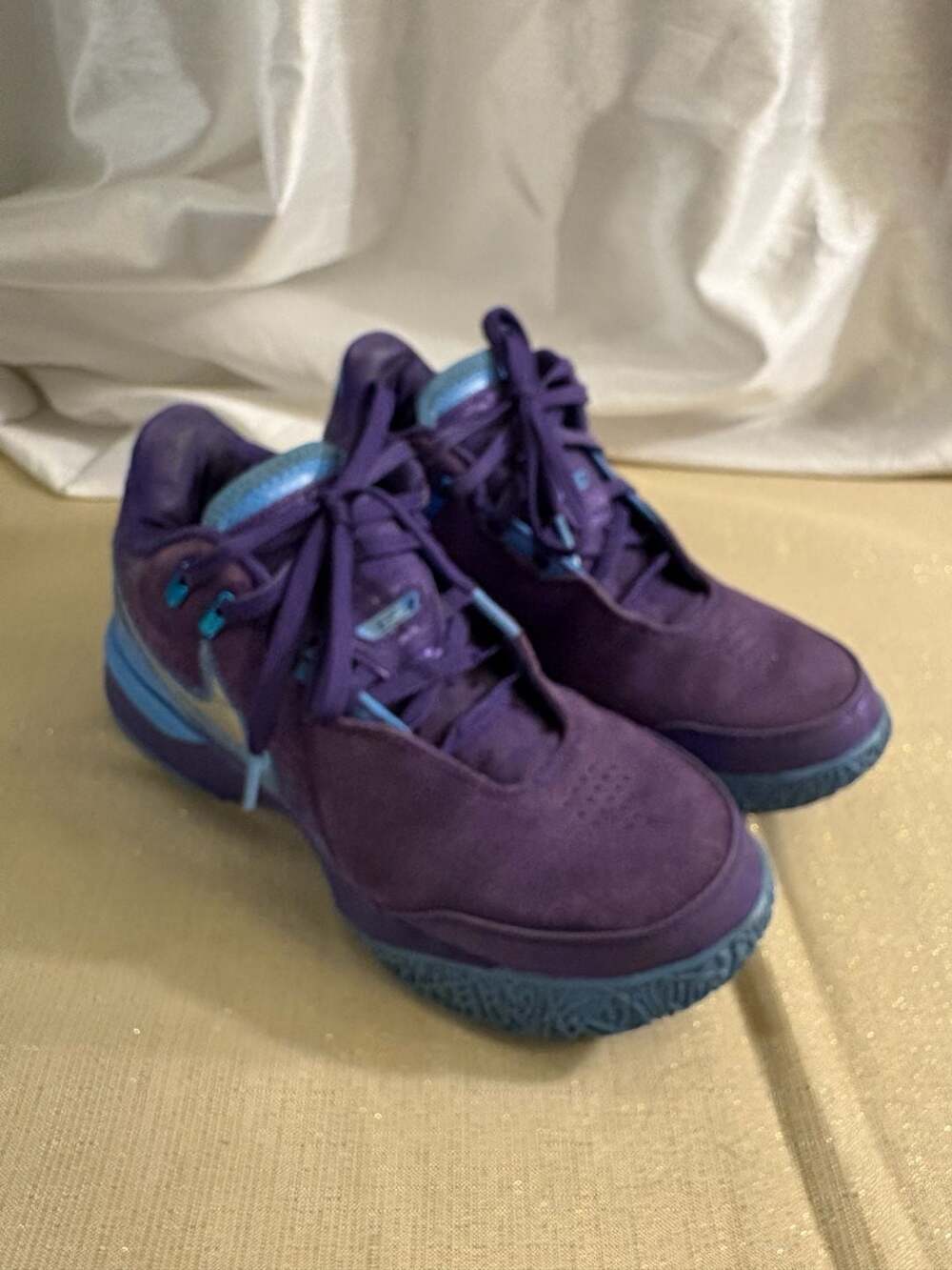 Nike Zoom LeBron NXXT Gen AMPD Purple Blue